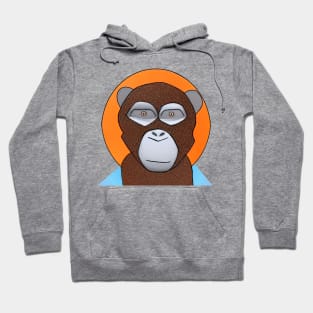 AAA Ape #11 Hoodie